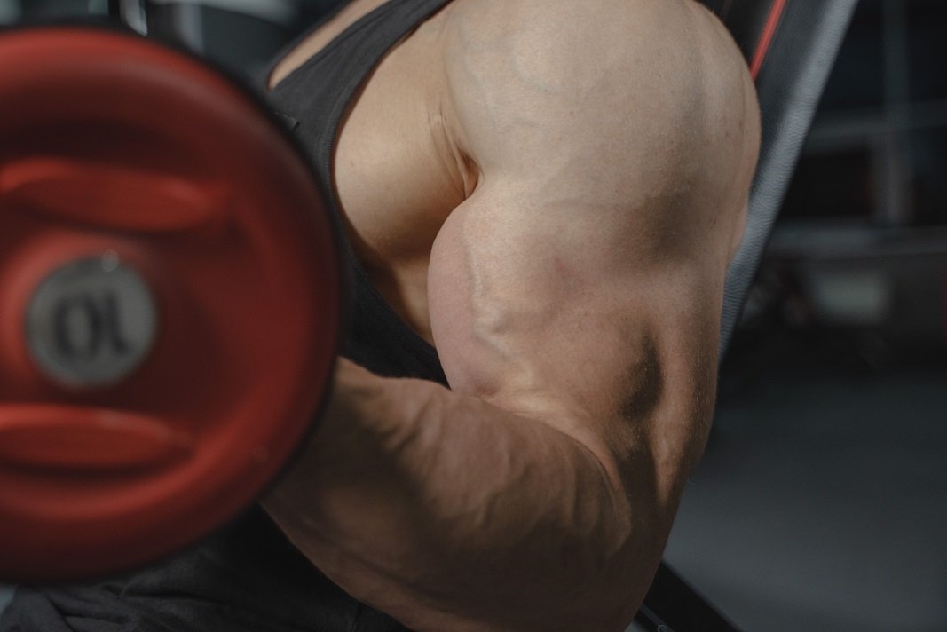 Meccanismi ipertrofia muscolare curl bicipiti Nutrizionista Sportivo Catania
